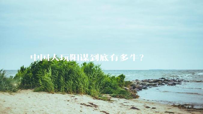 中国人玩阳谋到底有多牛？