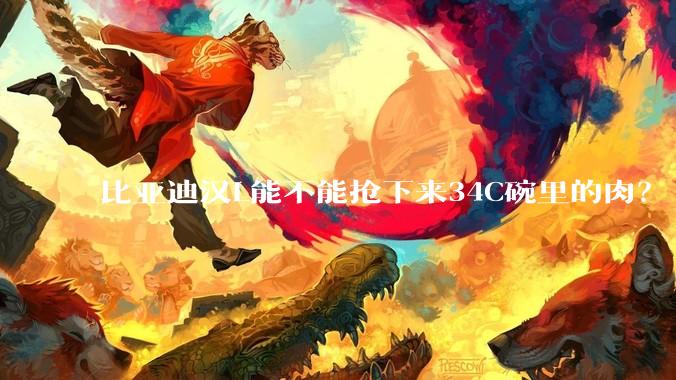 比亚迪汉L能不能抢下来34C碗里的肉？