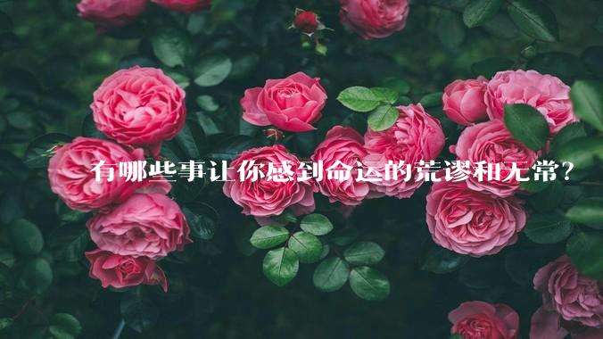 有哪些事让你感到命运的荒谬和无常？
