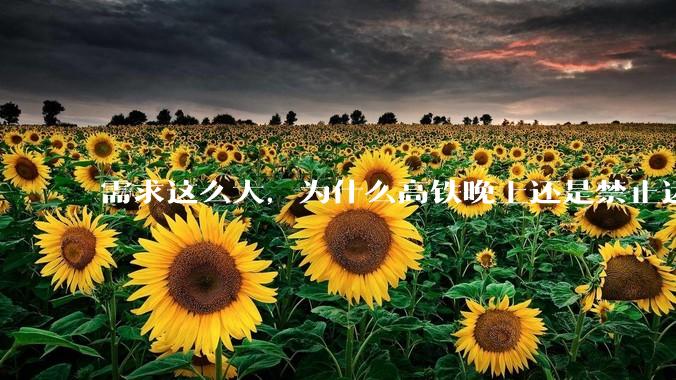 需求这么大，为什么高铁晚上还是禁止运行?