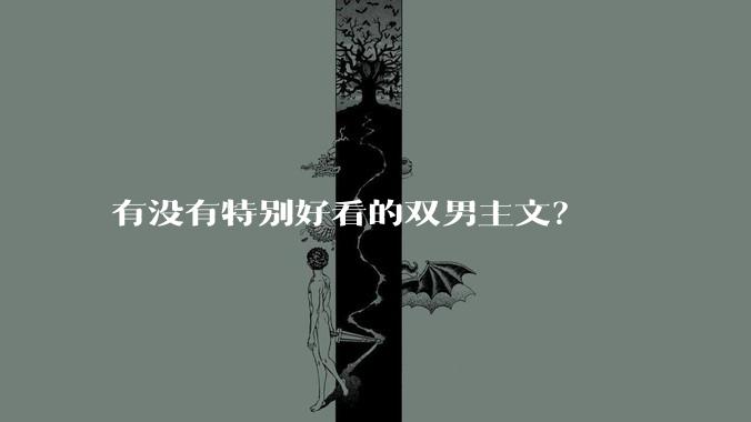 有没有特别好看的双男主文？