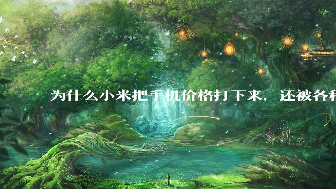 为什么小米把手机价格打下来，还被各种人骂？