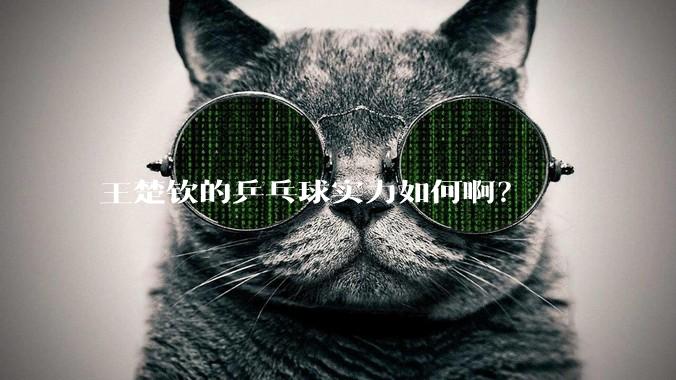 王楚钦的乒乓球实力如何啊？