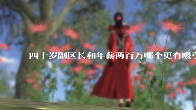 四十岁副区长和年薪两百万哪个更有吸引力？