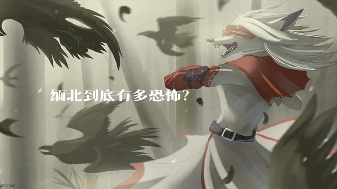 缅北到底有多恐怖？