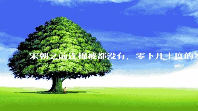 宋朝之前连棉被都没有，零下几十度的寒冬，古人是怎么熬过去的？