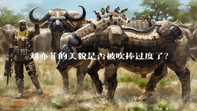 刘亦菲的美貌是否被吹捧过度了？