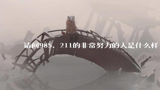 请问985、211的非常努力的人是什么样子的？