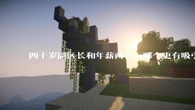 四十岁副区长和年薪两百万哪个更有吸引力？