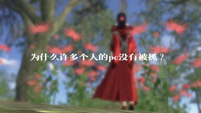 为什么许多个人的pc没有被抓?