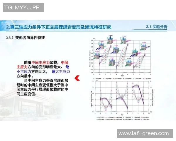 军哥与罗斯精彩对决回放分析与战术解读