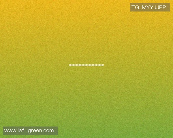 篮球明星婚礼陪嫁清单揭秘奢华与实用兼备的完美选择