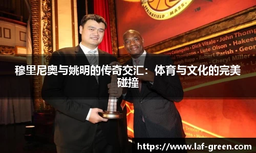 九游体育官网入口